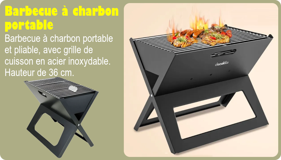 Barbecue à charbon portable